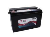 TN Power Lithium (LiFePO4) Battery With Heater & Bluetooth - 100Ah
